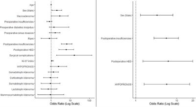 Prognostic indicators in pituitary adenoma surgery: a comprehensive analysis of surgical outcomes and complications